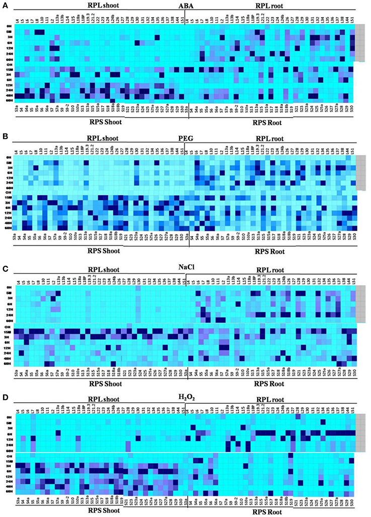 Frontiers | Genome-Wide Identification and Comprehensive Expression ...