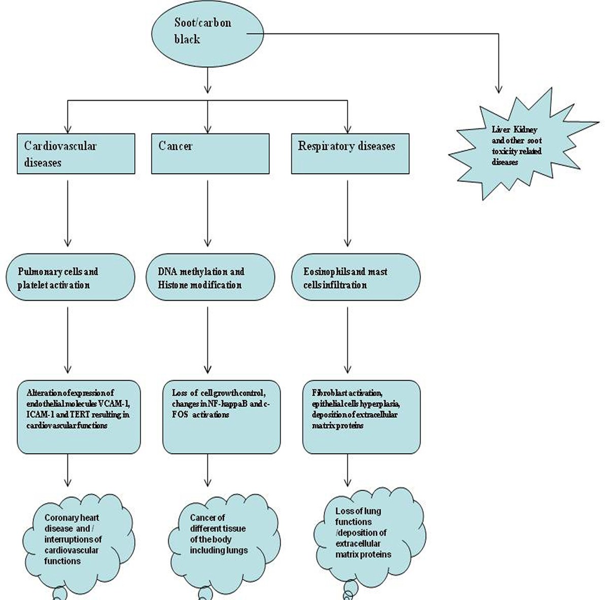 Frontiers  The Toxicological Mechanisms of Environmental Soot