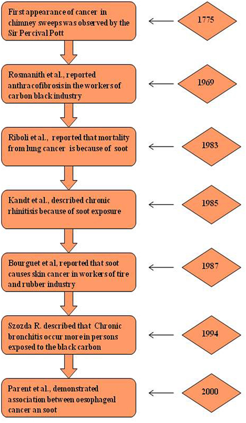 Frontiers  The Toxicological Mechanisms of Environmental Soot