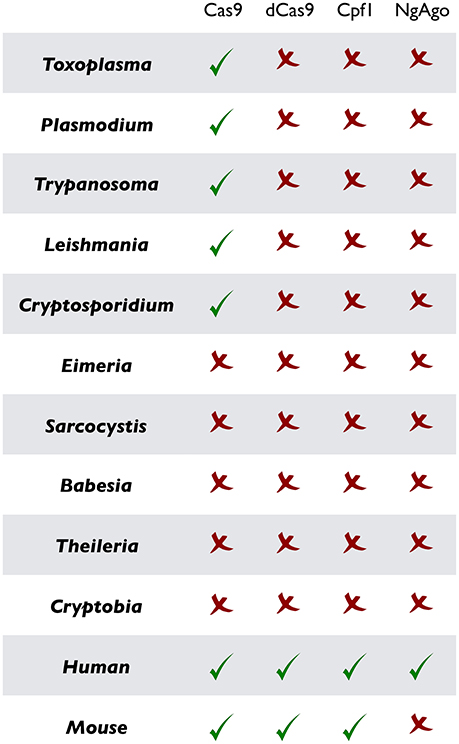 www.frontiersin.org