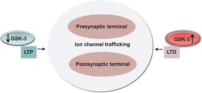www.frontiersin.org