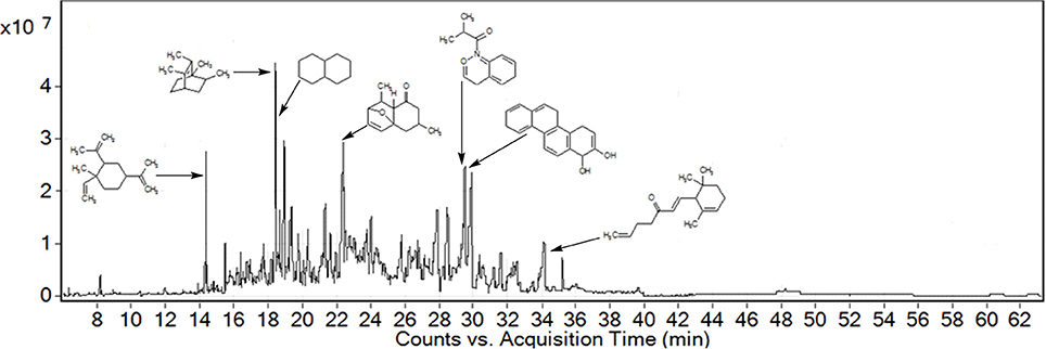 C1q binding of crude plant extracts. Crude extracts were