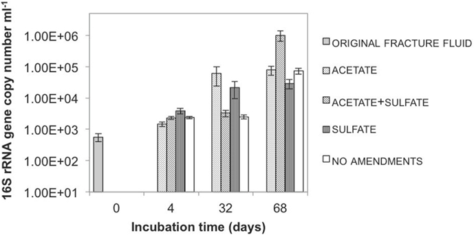 Figure 2 - Quantity of microbes in different microcosms during the incubation.