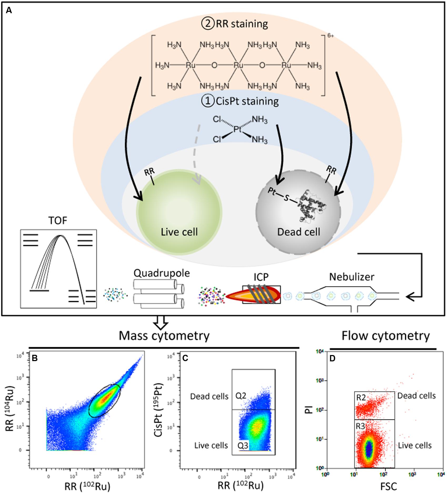 giardiasis eurolab