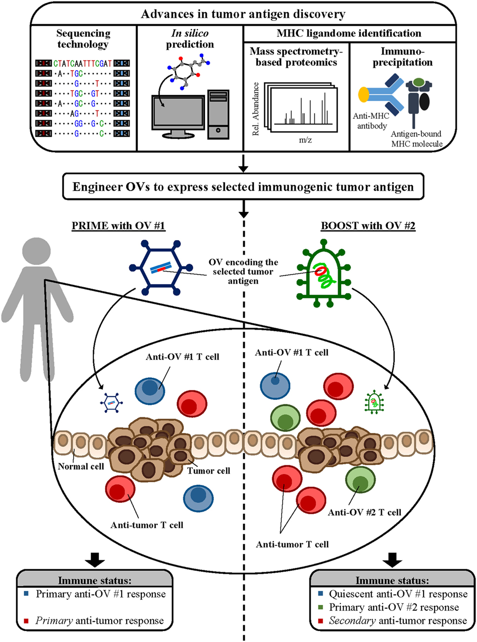 Vaccines - Free Full-Text - Selecting Target Antigens for Cancer Vaccine  Development - HTML