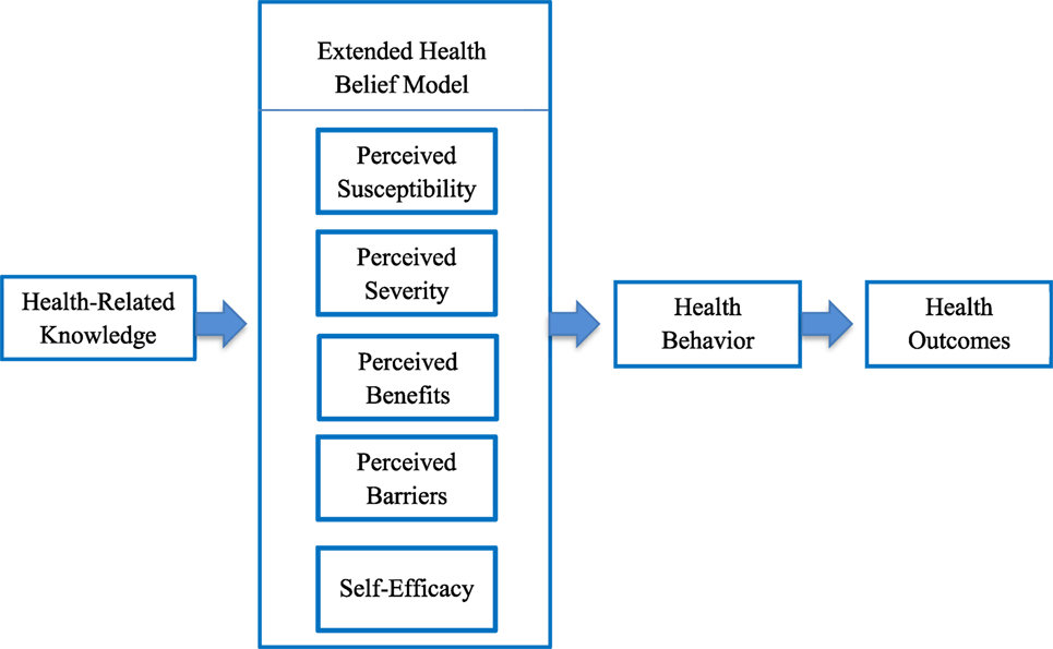 Frontiers | The Impact of Maternal Self-Efficacy and Oral ...