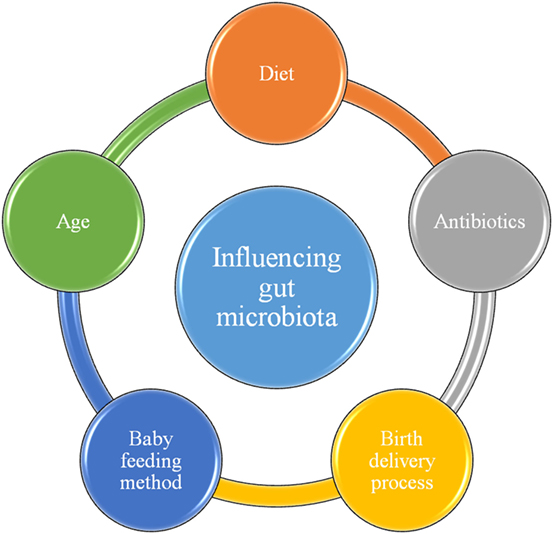 We Are Never Alone Living With The Human Microbiota · Frontiers For