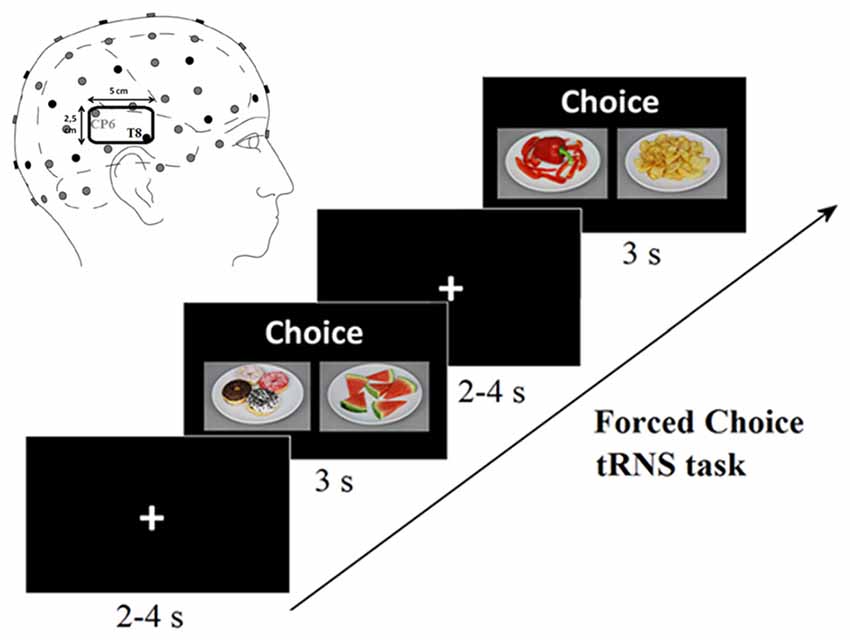 Gender Selection Diet Chart