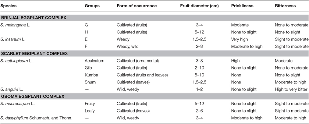 Representative fruits of each of the scarlet eggplant complex (S