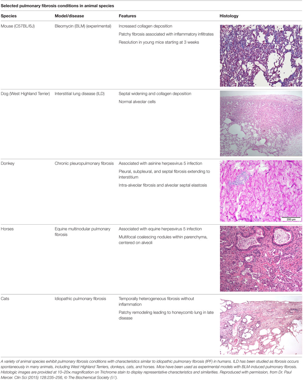 how to know infectious disease