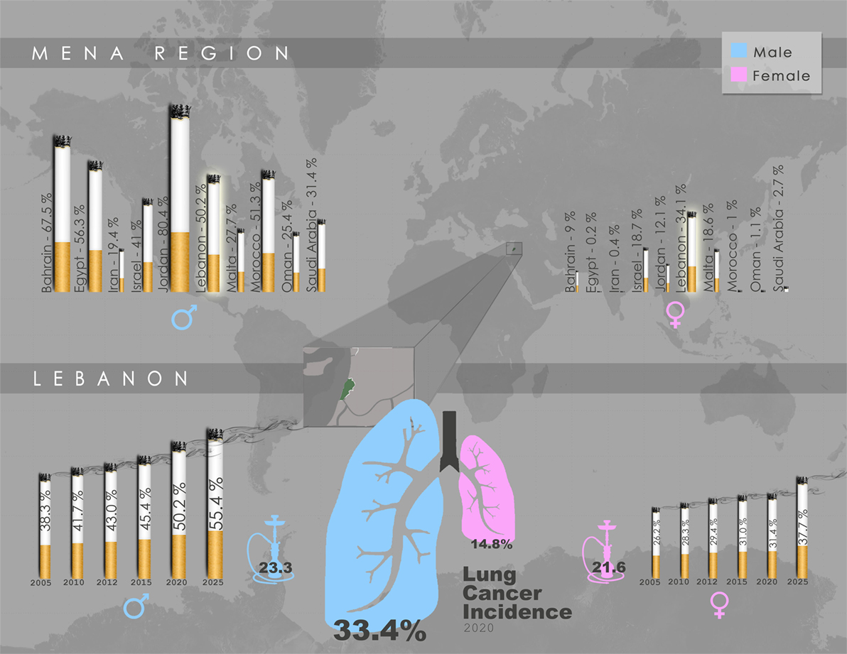 smoking cancer graph