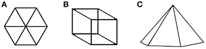 www.frontiersin.org