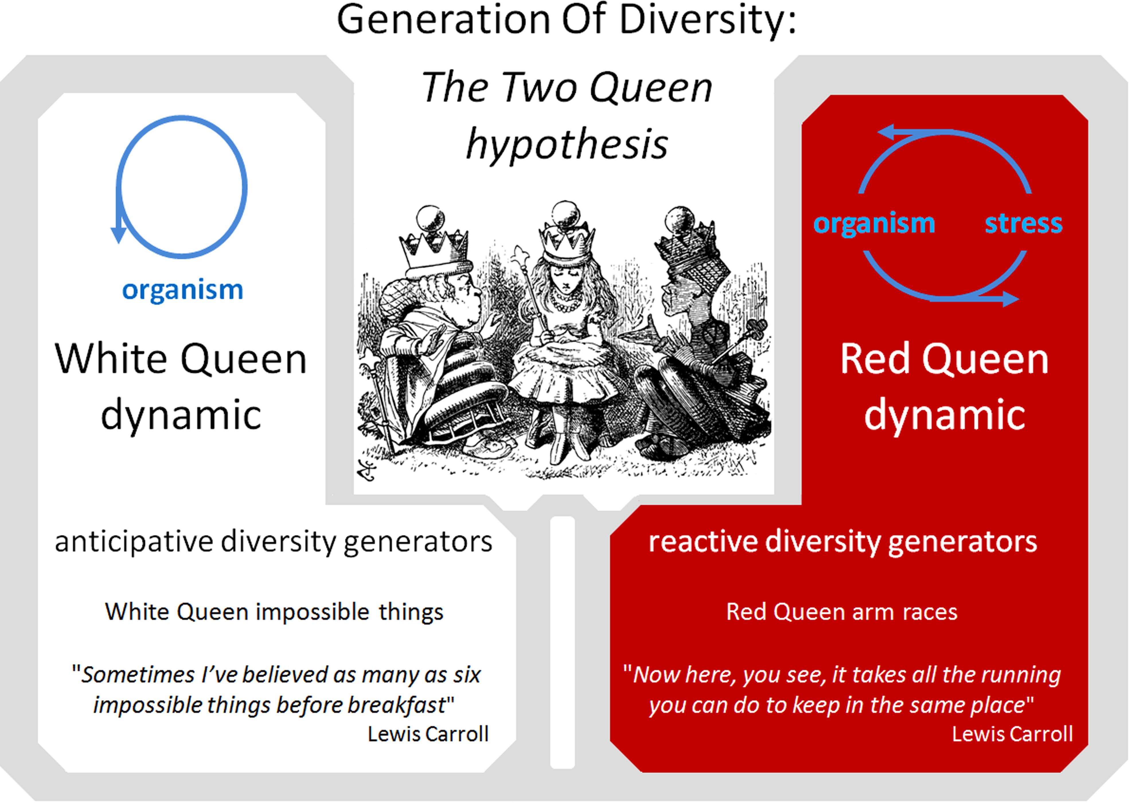 red queen hypothesis quizlet