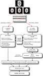 www.frontiersin.org
