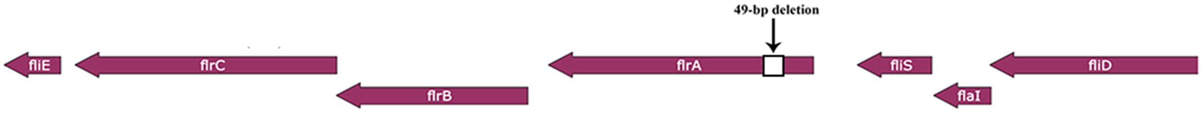 www.frontiersin.org