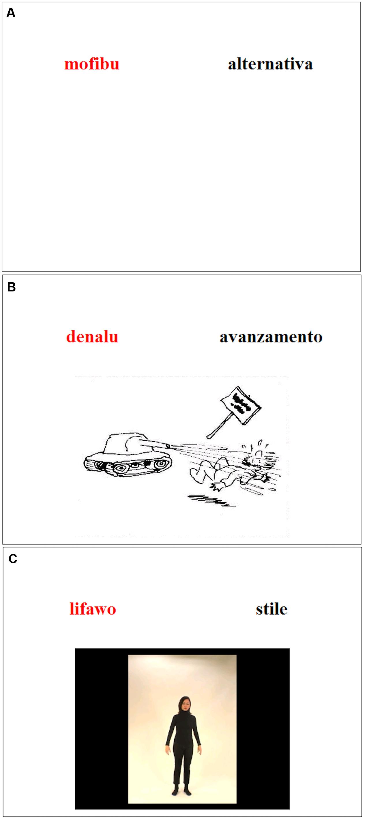 www.frontiersin.org