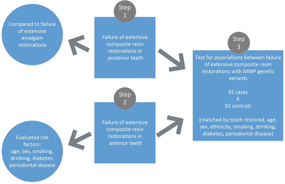 A Comparison of Dental Filling Materials - dentist Portland OR