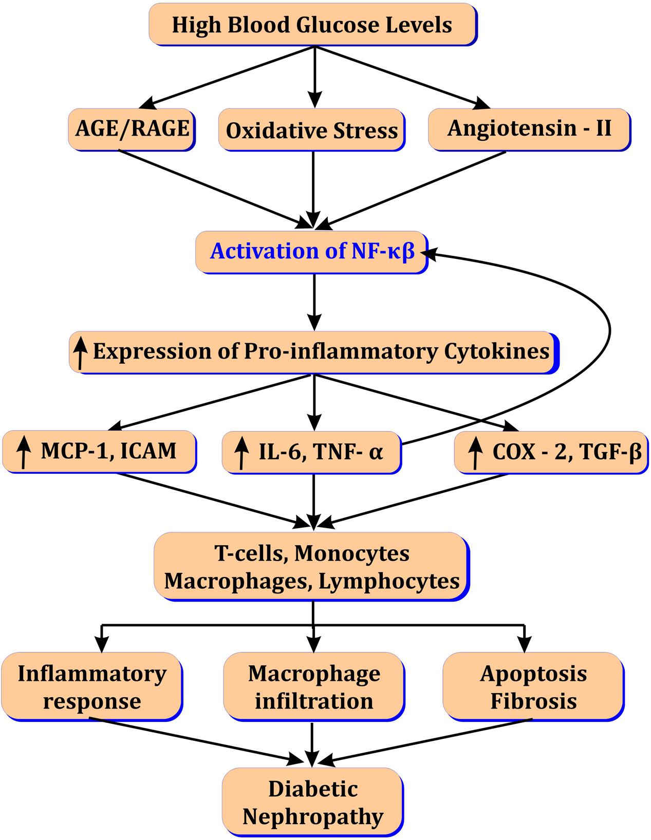 azithromycin how fast does it work