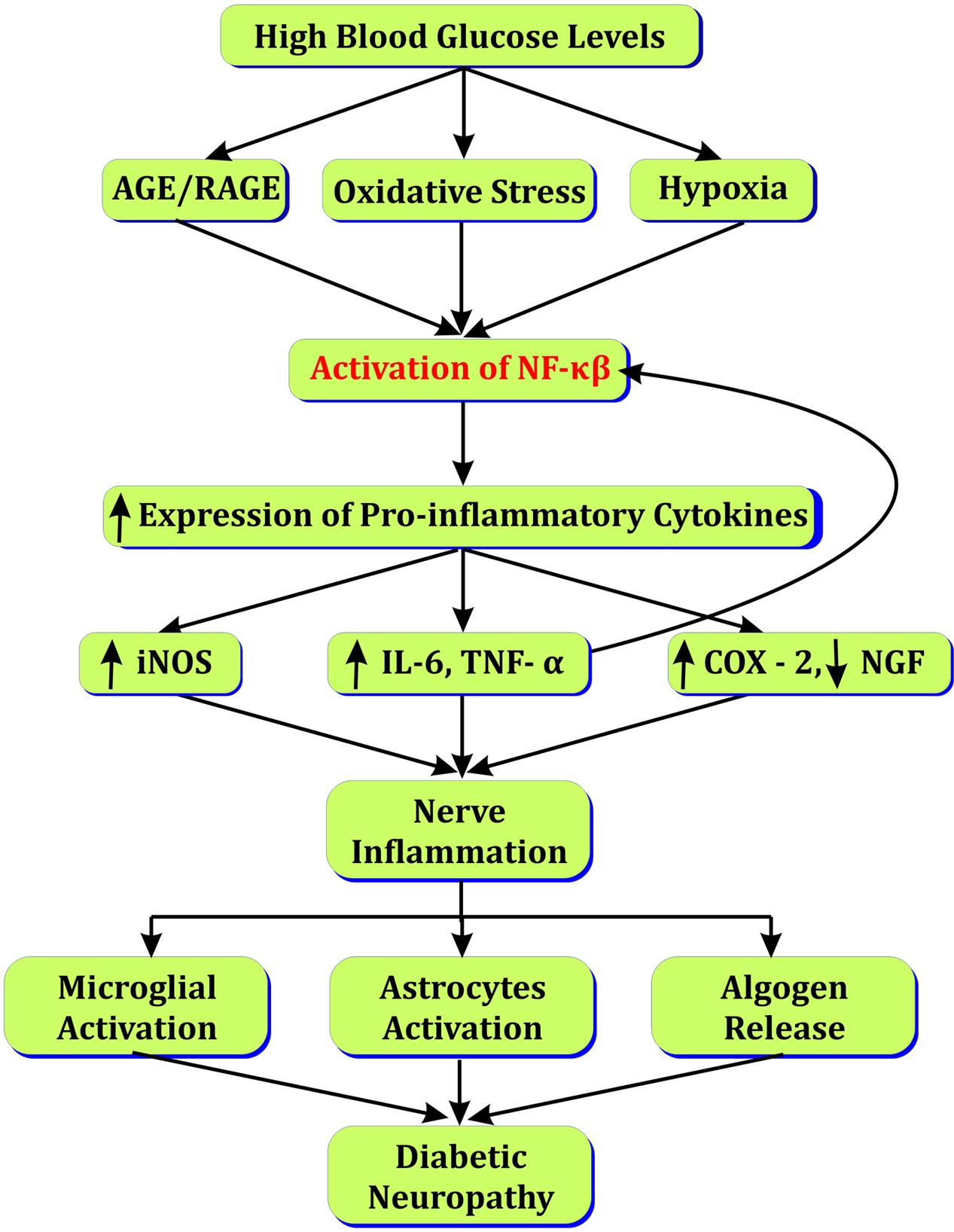 colchicine kidney transplant