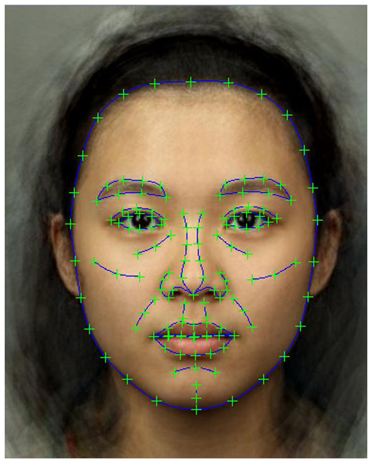 Frontiers Facial Shape Analysis Identifies Valid Cues To Aspects