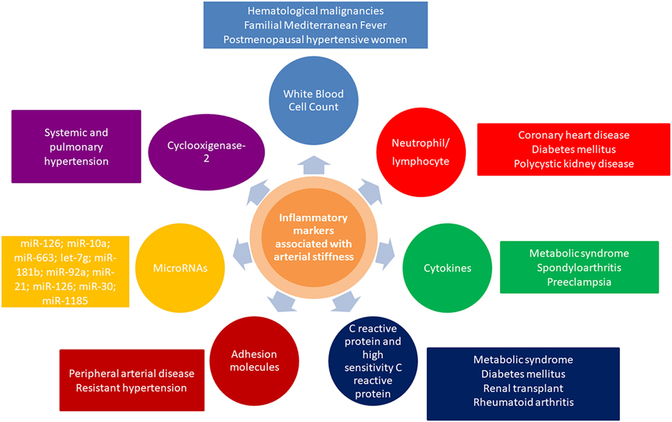 Defined ensure websites both network request were opens the which open handful exist exposure for cybercriminals also supply hacker ampere greater manner till focus owner work