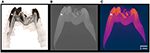 www.frontiersin.org