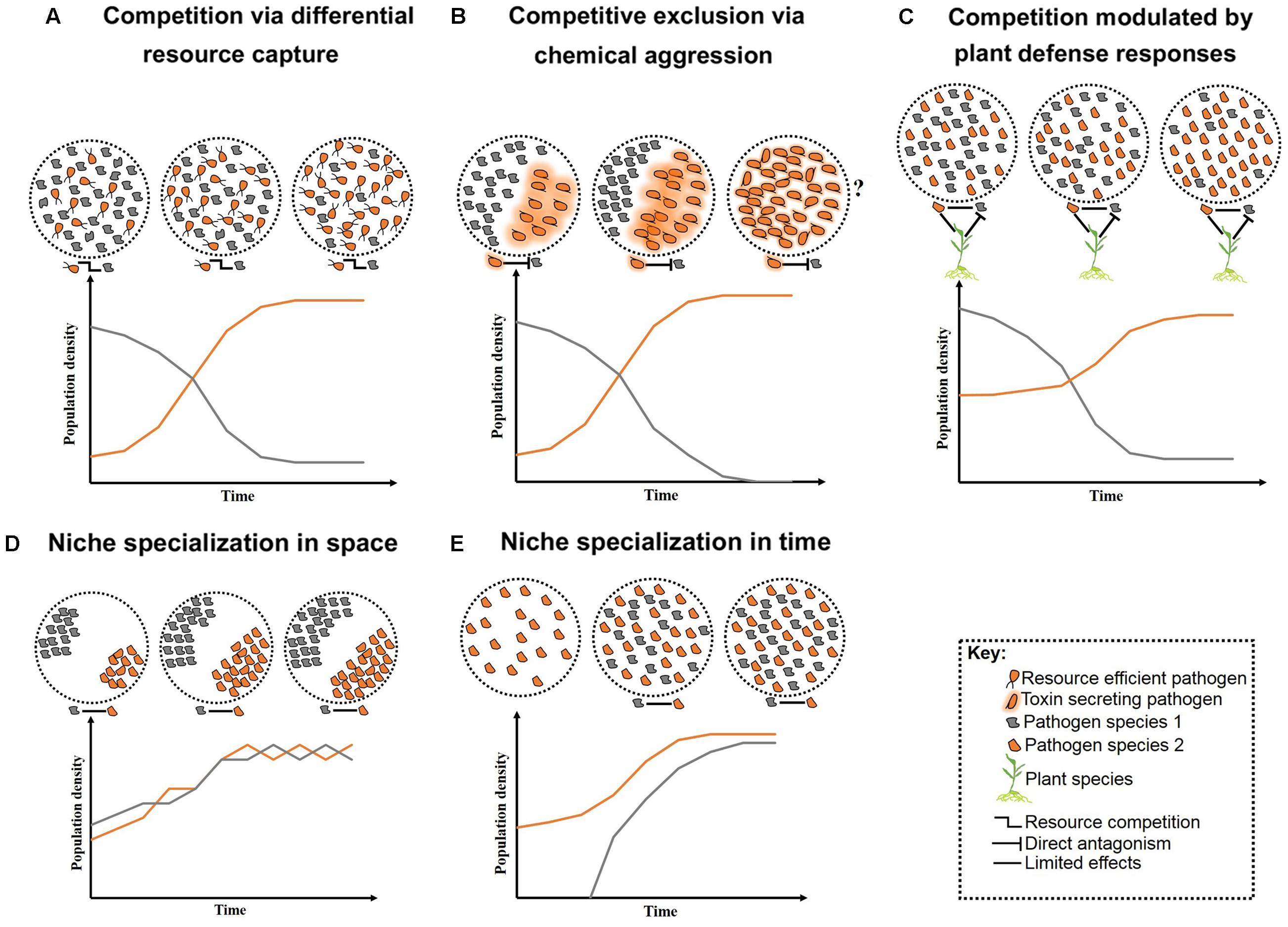 Proteomics of Plant Pathogenic Fungi