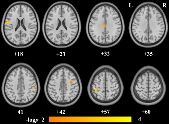 Brain Test 4 Level 40, 41, 42 Gameplay 