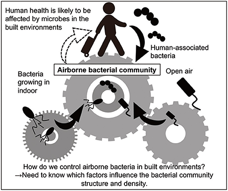 Frontiers Transmission Of Airborne Bacteria Across Built Environments And Its Measurement Standards A Review Microbiology