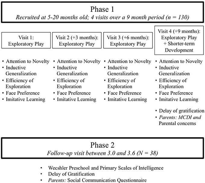 Play & cognitive development: preschoolers