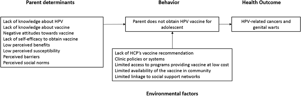 human papillomavirus vaccine theory