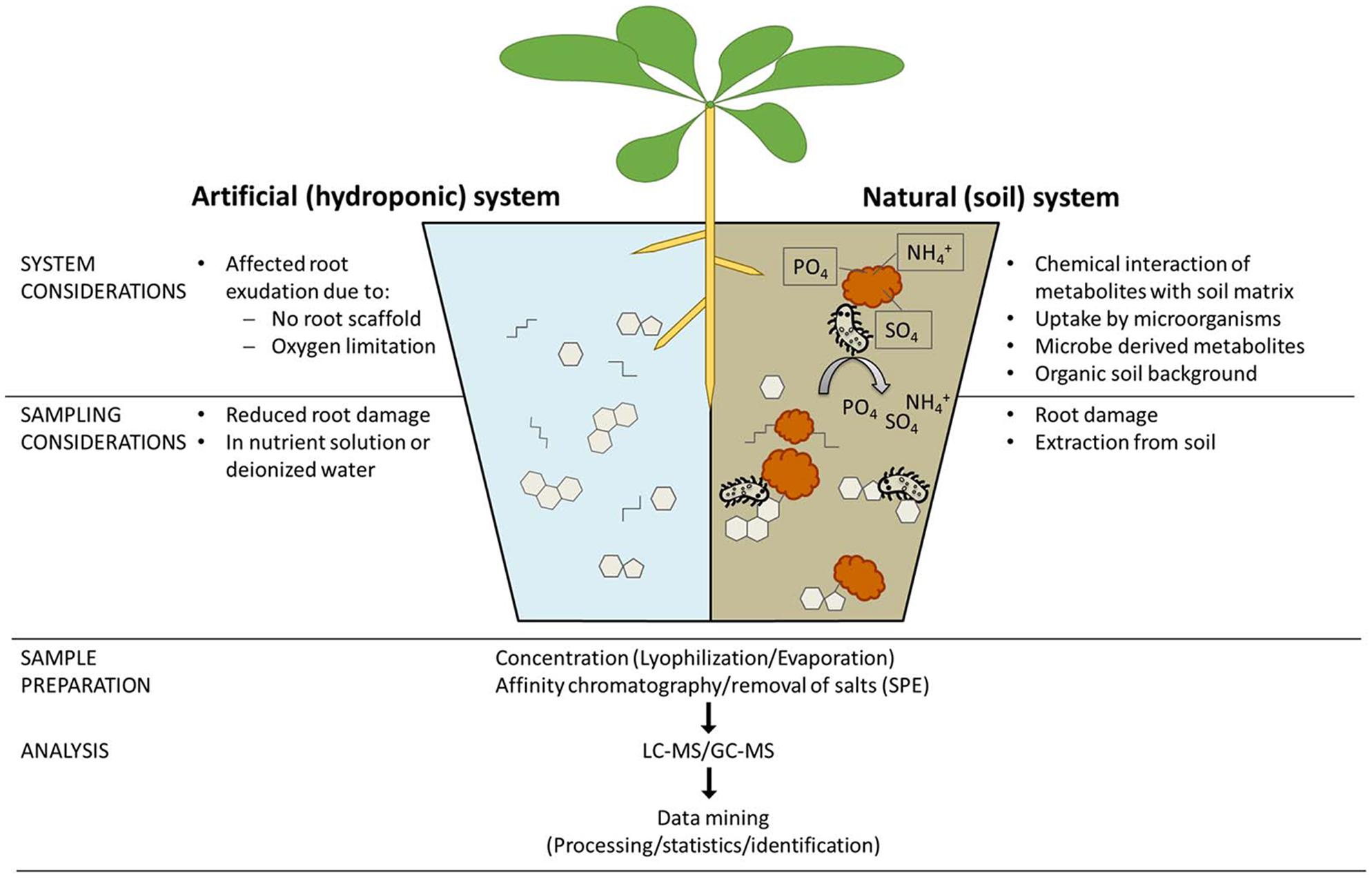 case study nutrition in plants