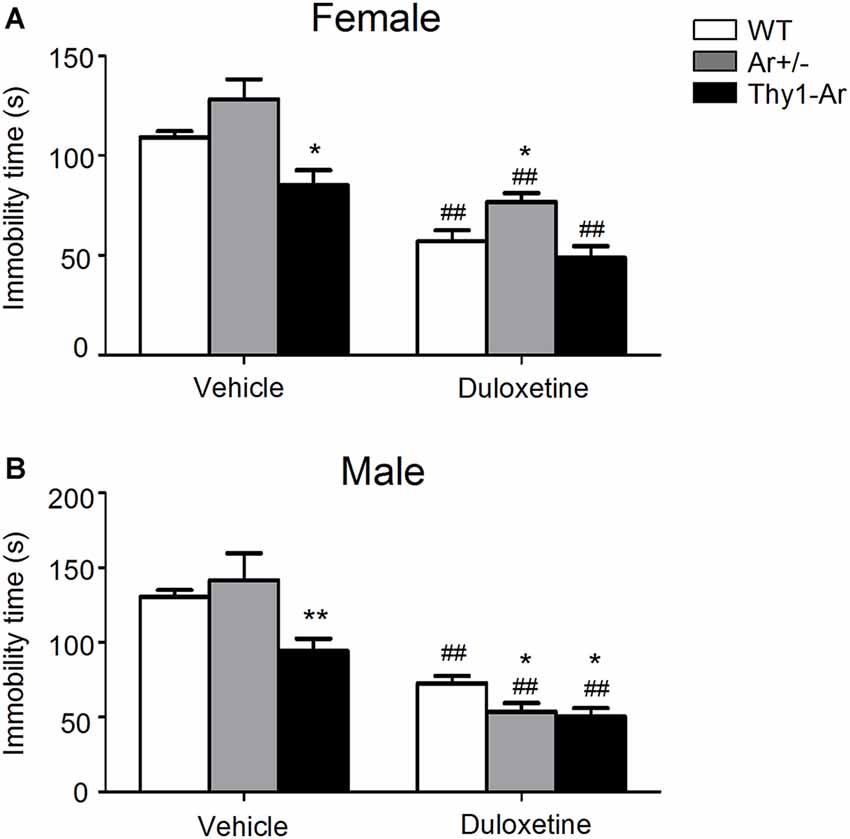 Frontiers Study Of Sex Differences In Duloxetine Efficacy For