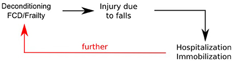 www.frontiersin.org