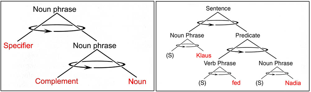 www.frontiersin.org