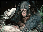 www.frontiersin.org