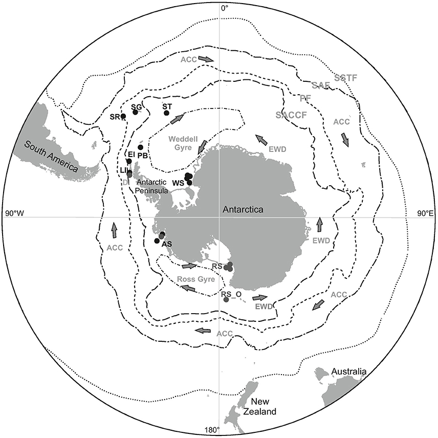 www.frontiersin.org