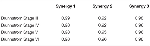 Brunnstrom Stages Of Recovery Chart Pdf