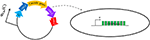 www.frontiersin.org