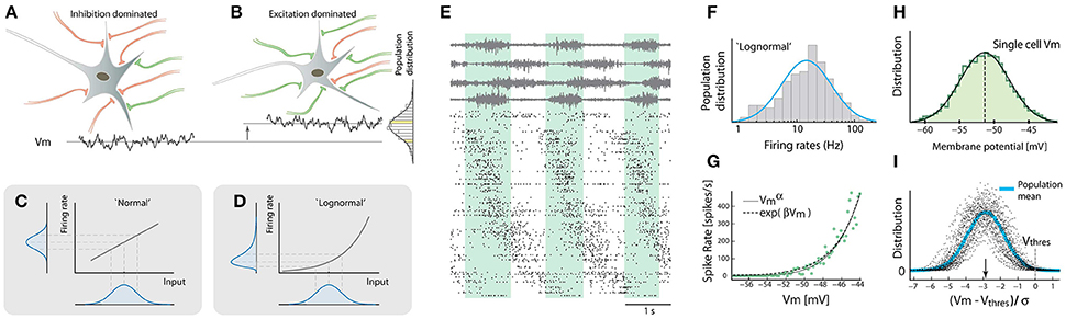 Frontiers Neuronal Population Activity In Spinal Motor Circuits