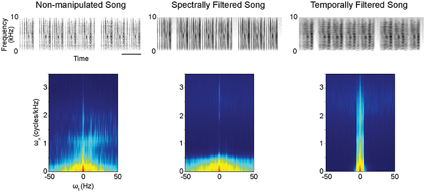 Frontiers  Song Processing in the Zebra Finch Auditory Forebrain