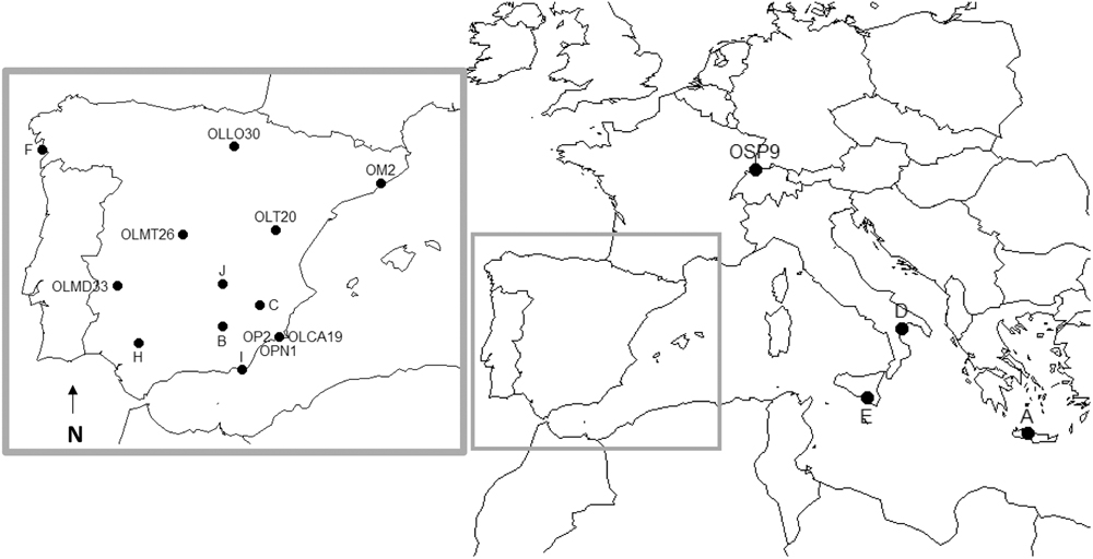 www.frontiersin.org