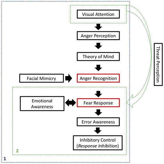 Frontiers Deficits In Response Inhibition In Patients With Attention Deficit Hyperactivity Disorder The Impaired Self Protection System Hypothesis Psychiatry