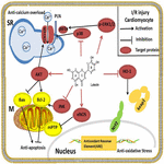 Frontiers | Luteolin: A Flavonoid that Has Multiple Cardio-Protective ...