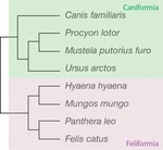 www.frontiersin.org