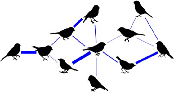 Figure 1 - An example of a “social network” between animals.