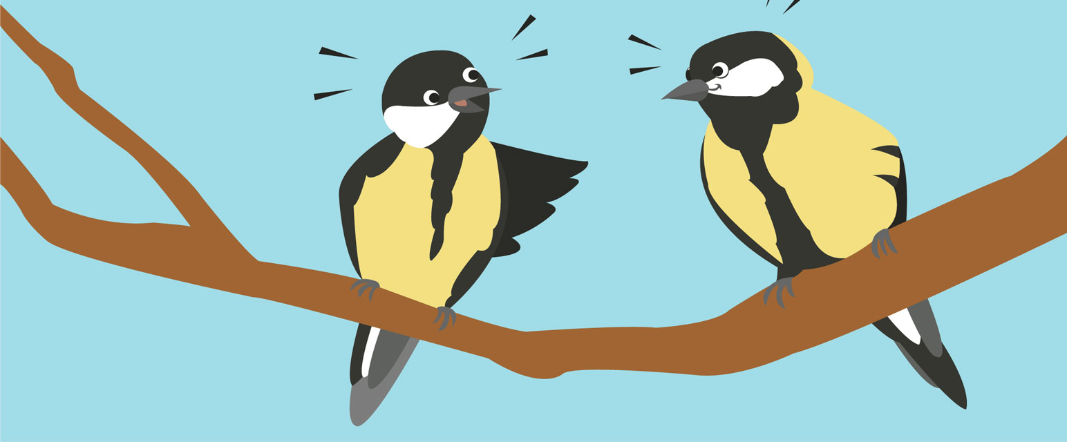 How Do Birds Cope with Losing Members of Their Group? · Frontiers for Young Minds How Do Birds Cope with Losing Members of Their Group? · Frontiers for Young Minds