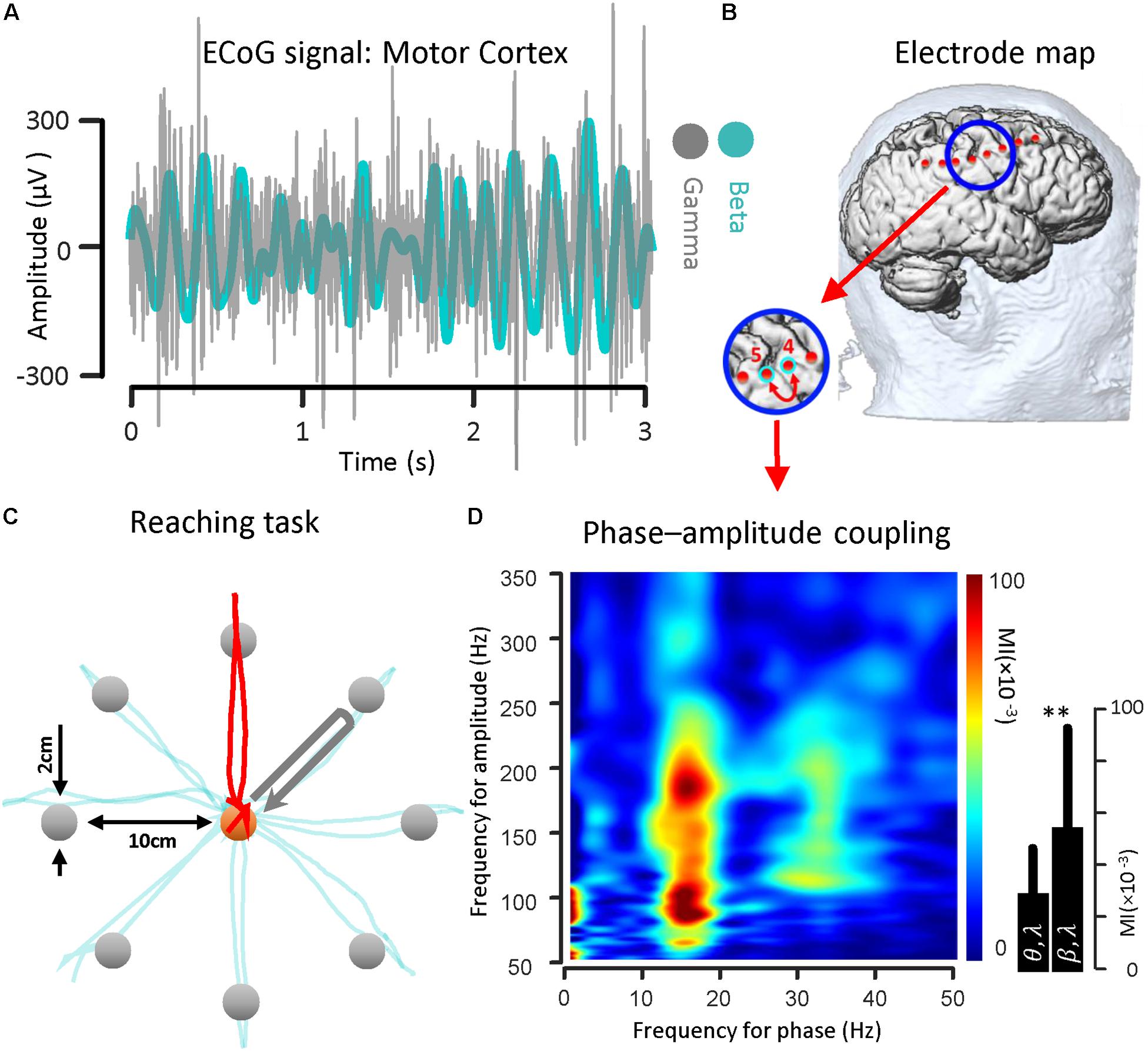 Frontiers Cross Frequency Coupling Based Neuromodulation For Treating