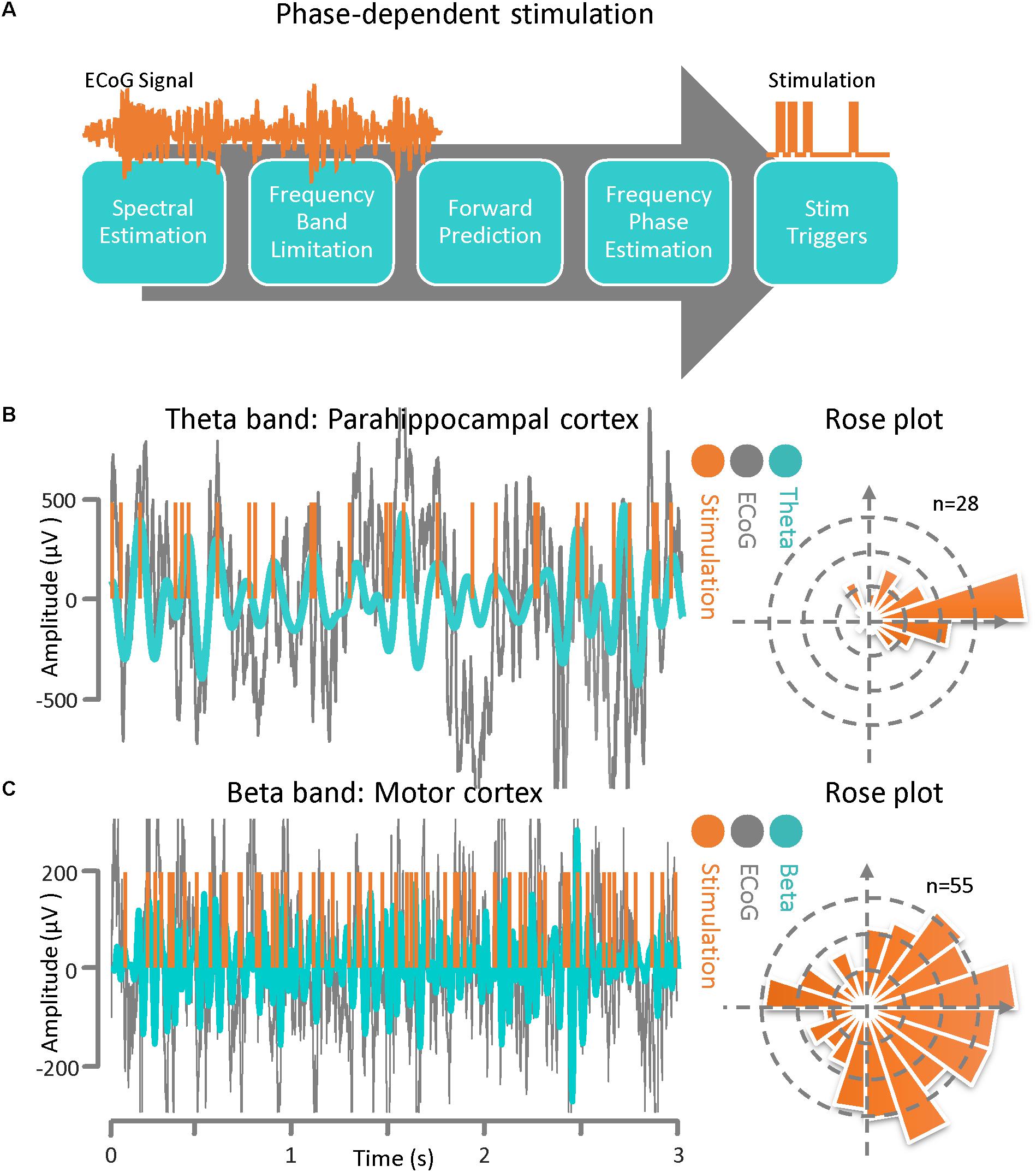 Frontiers Cross Frequency Coupling Based Neuromodulation For Treating