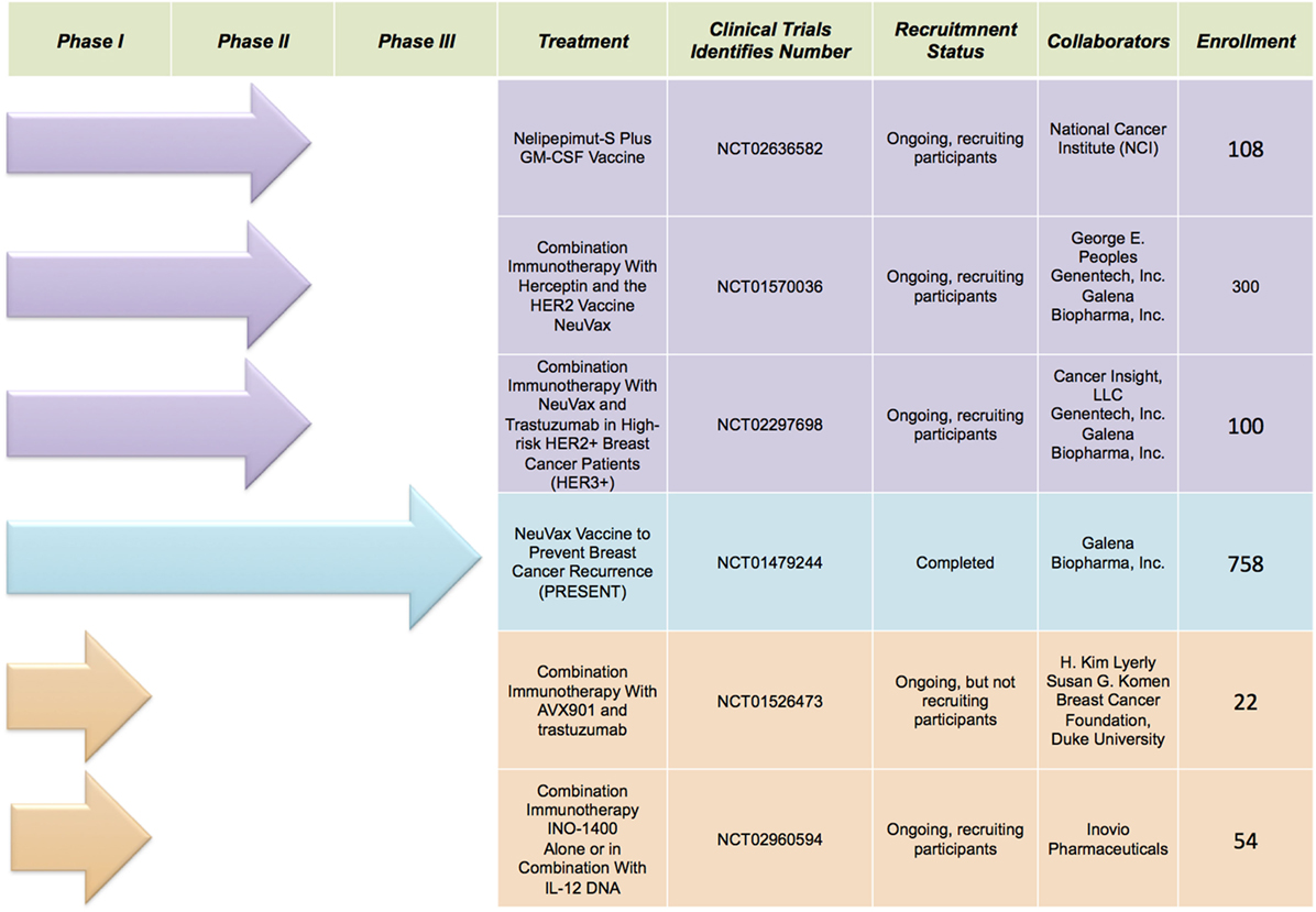 Frontiers | Breast Cancer Vaccines: New Insights